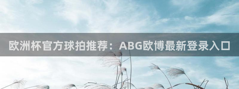 恒行集团总部：欧洲杯官方球拍推荐：ABG欧博最新登录入口