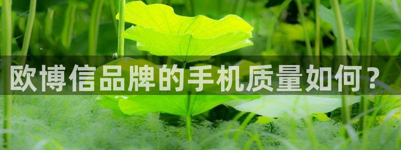 恒行3登录：欧博信品牌的手机质量如何？