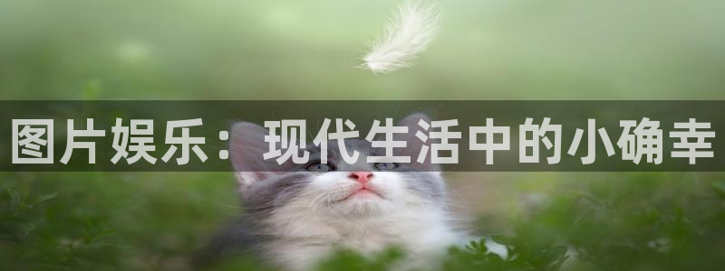 恒行体育代理：图片娱乐：现代生活中的小确幸