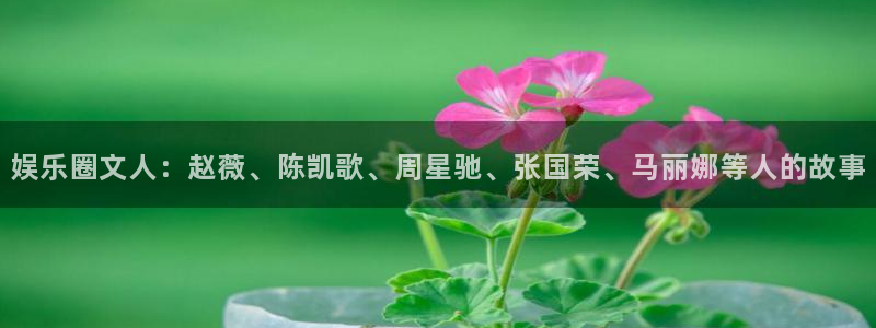恒行体育凯捷登陆：娱乐圈文人：赵薇、陈凯歌、周星驰、张国荣、马丽娜等人的故事
