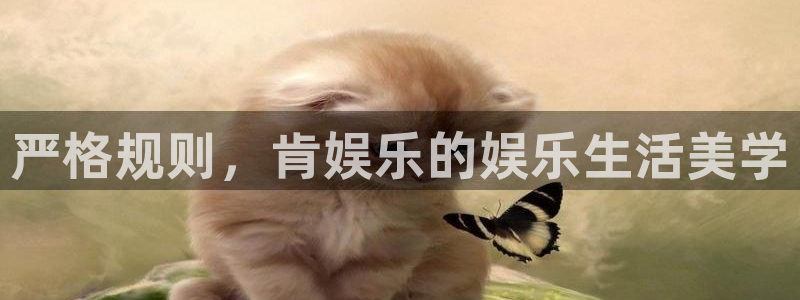 恒行电子有限公司：严格规则，肯娱乐的娱乐生活美学