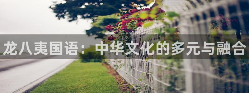 恒行平台总代理：龙八夷国语：中华文化的多元与融合