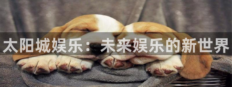 恒行2平台注册：太阳城娱乐：未来娱乐的新世界