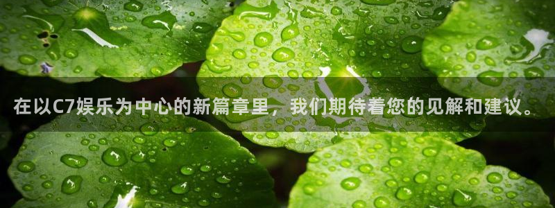 恒行平台招商：在以C7娱乐为中心的新篇章里，我们期待着您的见解和建议。