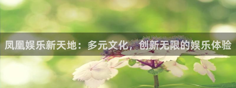 恒行平台开户链接：凤凰娱乐新天地：多元文化，创新无限的娱乐体验