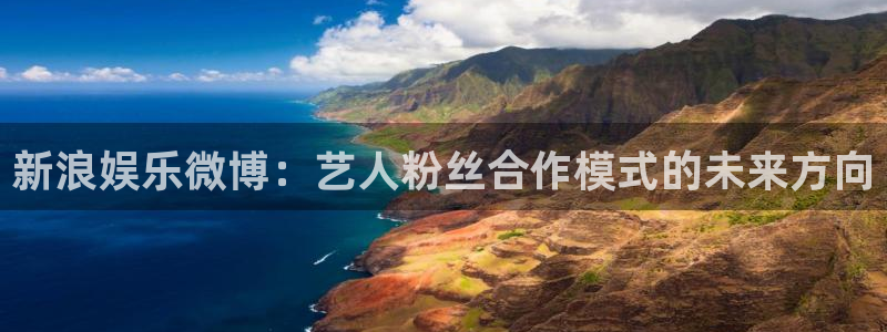 恒行：新浪娱乐微博：艺人粉丝合作模式的未来方向