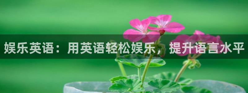 恒行集团总部：娱乐英语：用英语轻松娱乐，提升语言水平