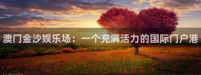 恒行体育注册代理：澳门金沙娱乐场：一个充满活力的国际门户港