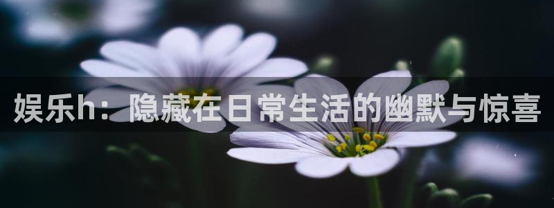 恒行2登录入口：娱乐h：隐藏在日常生活的幽默与惊喜