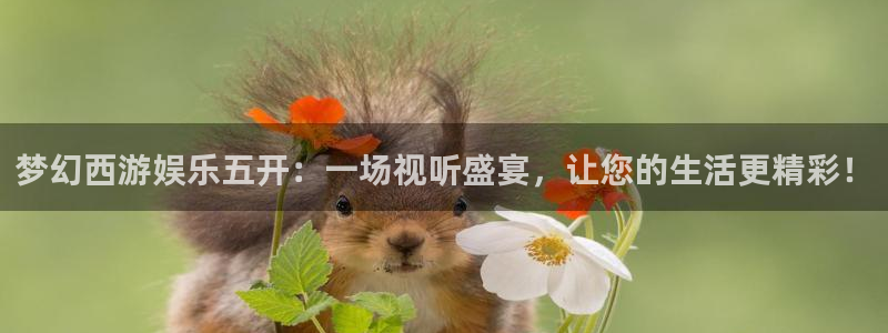 恒行体育4：梦幻西游娱乐五开：一场视听盛宴，让您的生活更精彩！